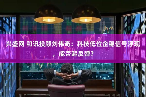 兴盛网 和讯投顾刘伟奇：科技低位企稳信号浮现，能否起反弹？