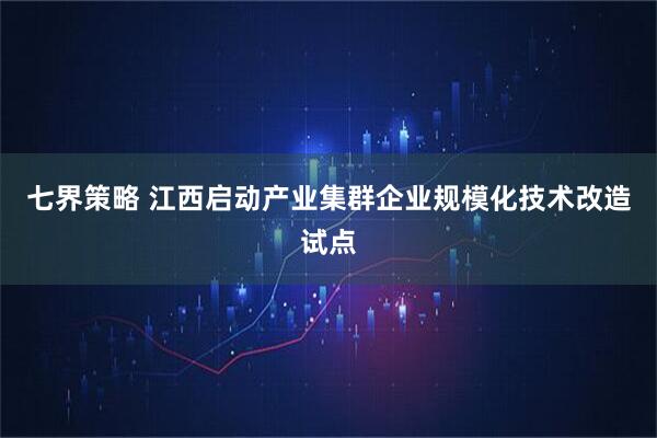 七界策略 江西启动产业集群企业规模化技术改造试点