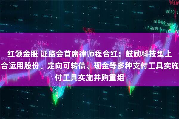 红领金服 证监会首席律师程合红：鼓励科技型上市公司综合运用股份、定向可转债、现金等多种支付工具实施并购重组