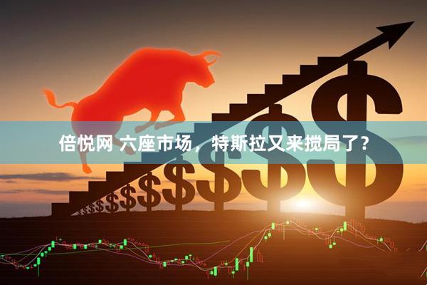 倍悦网 六座市场，特斯拉又来搅局了？