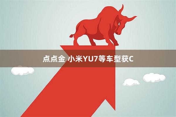 点点金 小米YU7等车型获C