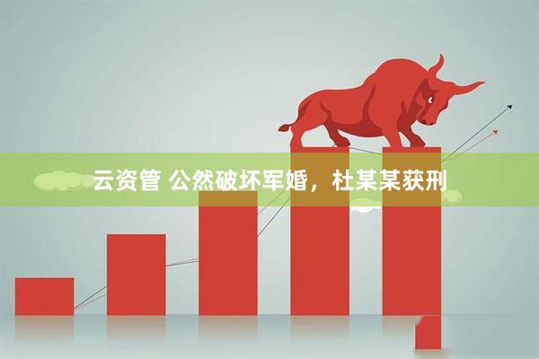 云资管 公然破坏军婚，杜某某获刑