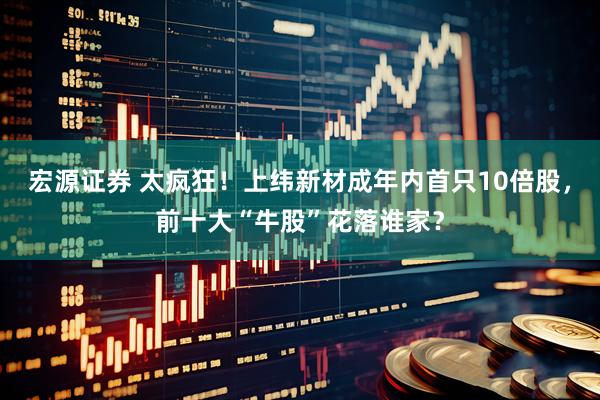 宏源证券 太疯狂！上纬新材成年内首只10倍股，前十大“牛股”花落谁家？
